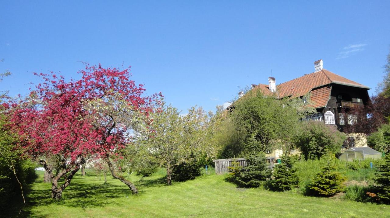קניטלפלד Zeilinger Villa מראה חיצוני תמונה